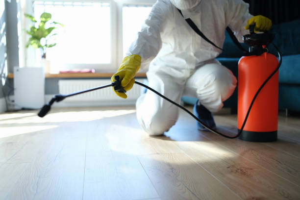 Reliable Sewage Cleanup contractor in Mount Vernon, KY by Trauma Clean Pros